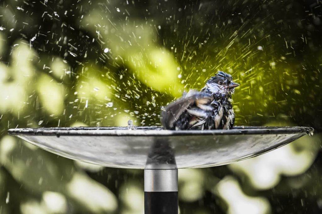 Wasserspiele im Garten schaffen Ruhe und Bewegung