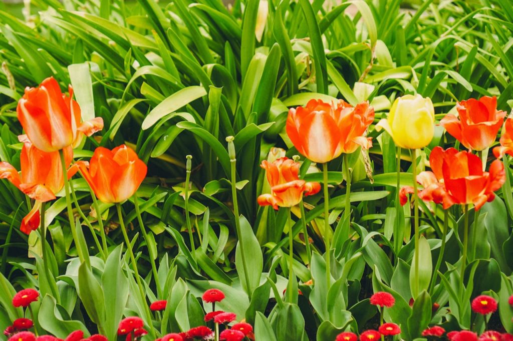 Wie du deinen Garten pflegst und schön gestaltest