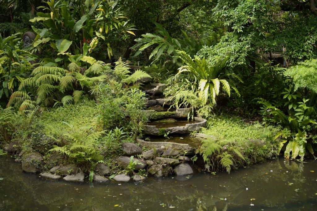 Mein schöner Garten als Quelle der Inspiration und Ruhe