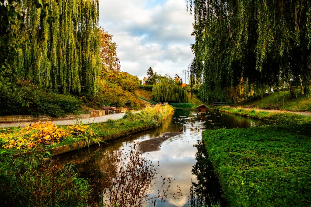 Garten und Landschaftsbau für schöne und praktische Außenbereiche
