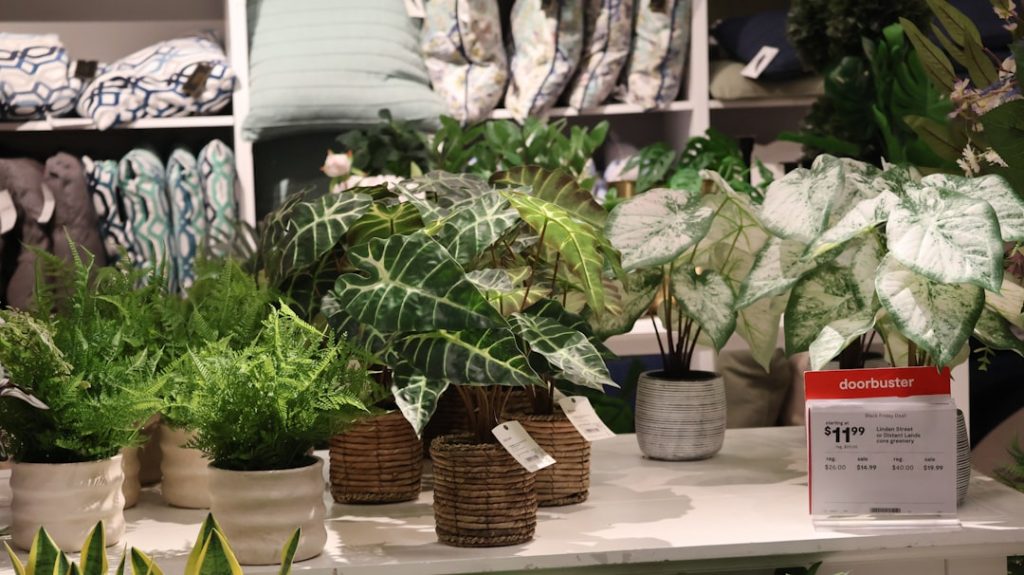 Samstag Rasen Mähen: Was Sie Am Wochenende Wissen Sollten