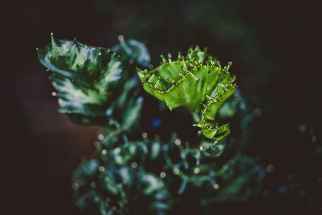 Der perfekte Start: Rasen mähen im März für einen gesunden Garten